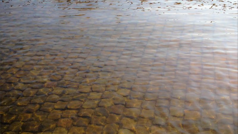 therapeutic photography workshops