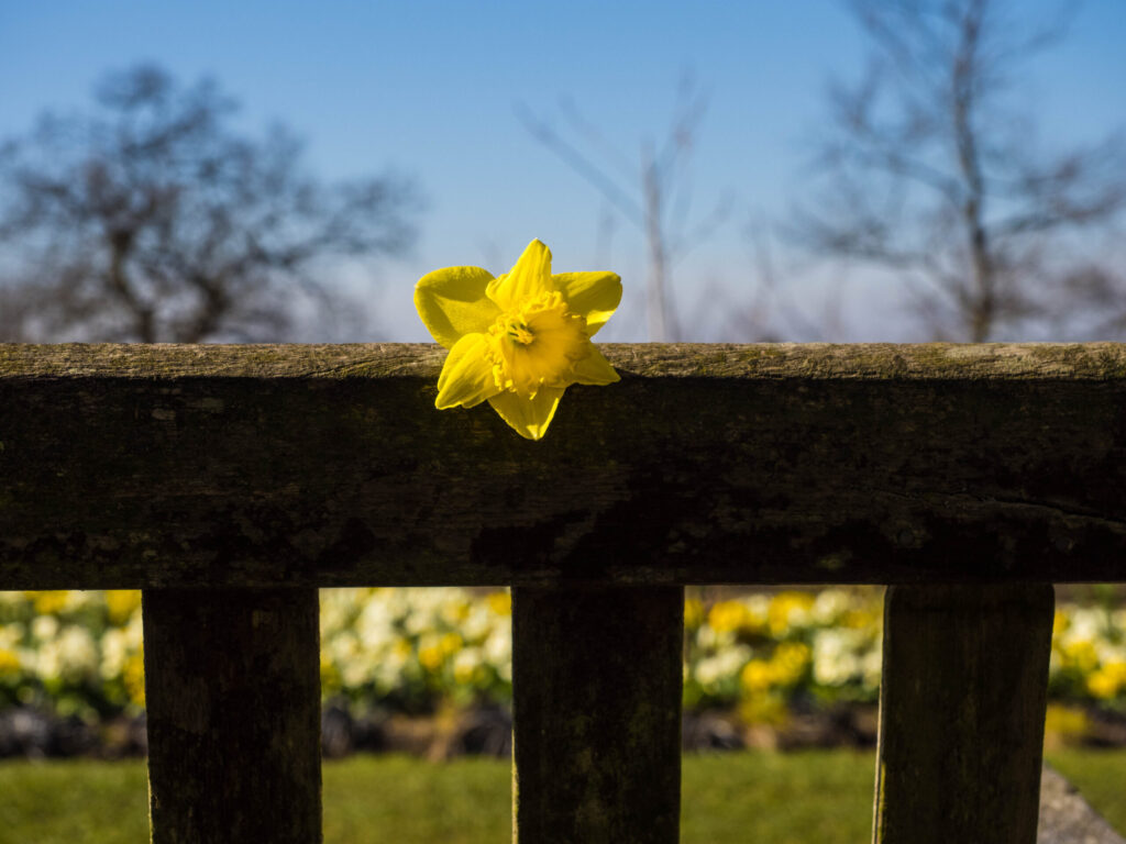 healing through photography