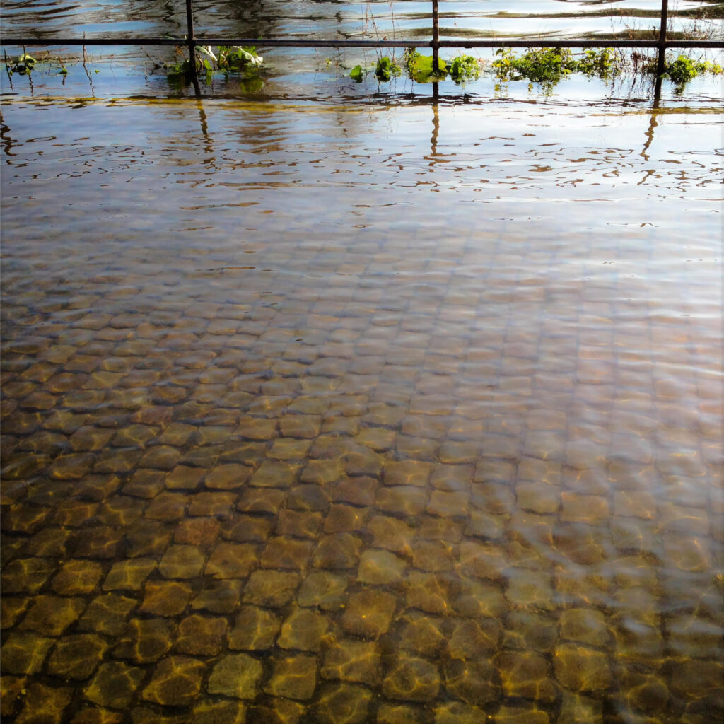 therapeutic photography workshops