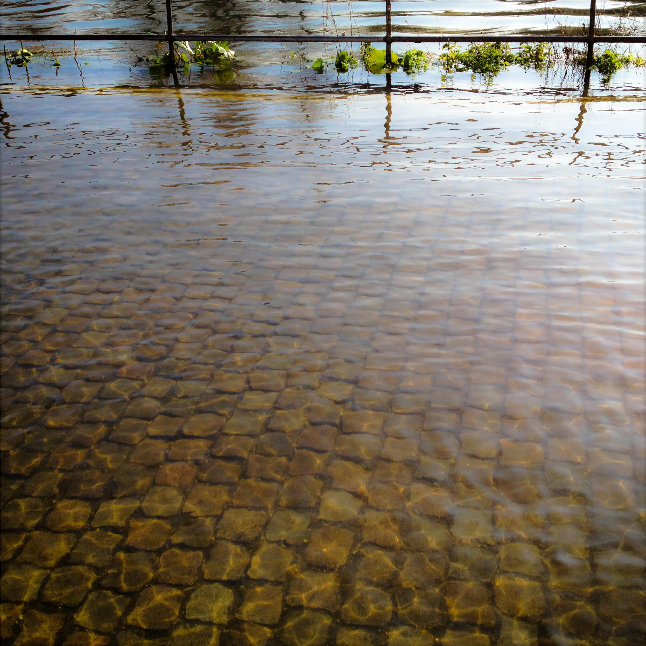 therapeutic photography workshops